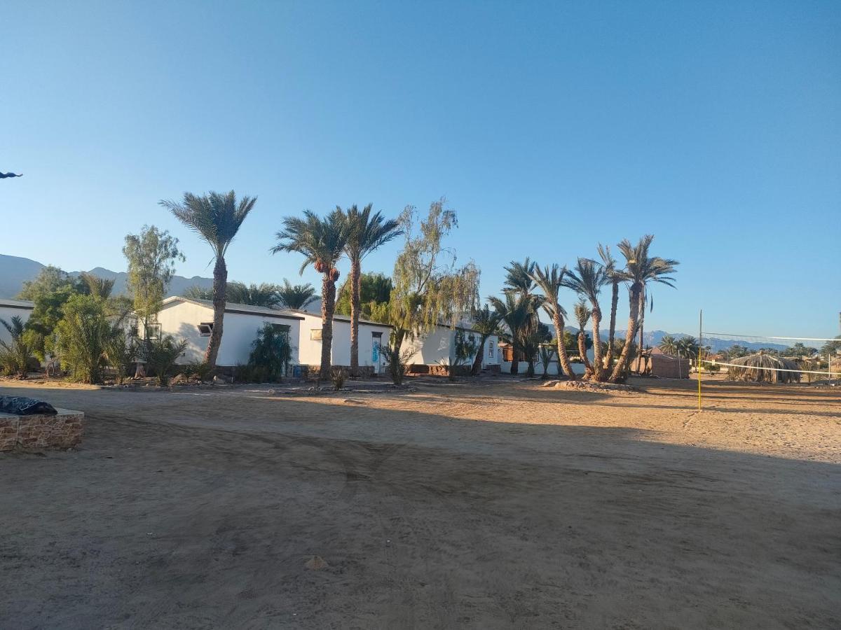 Nuweiba Oasis Hotel Eksteriør billede